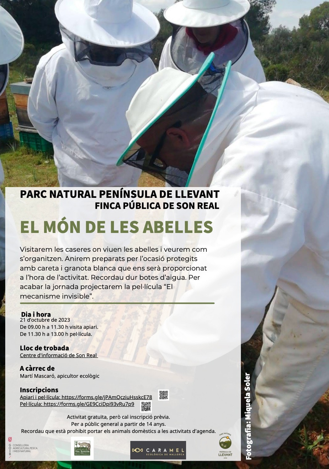 abelles