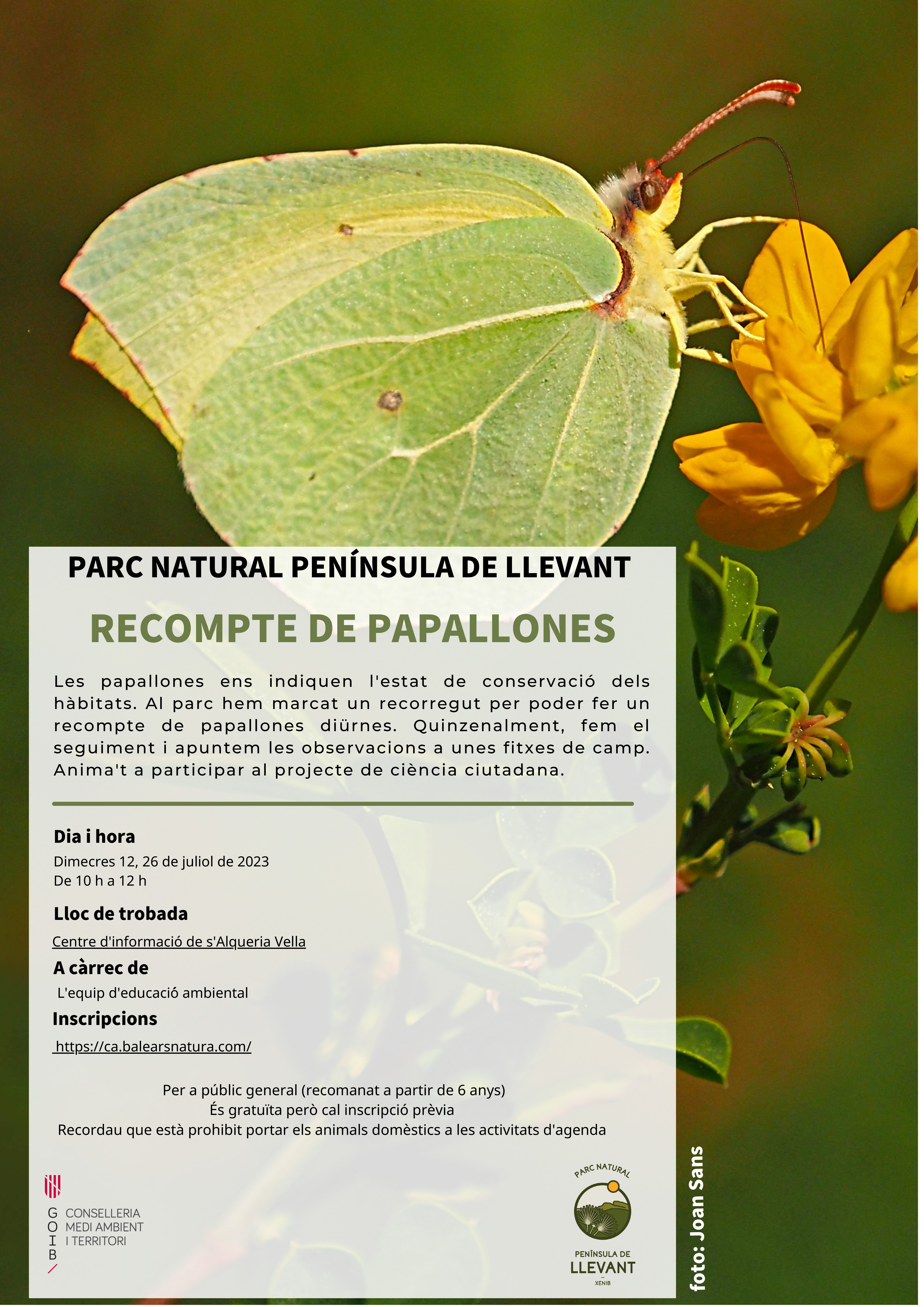 Recompte de papallones