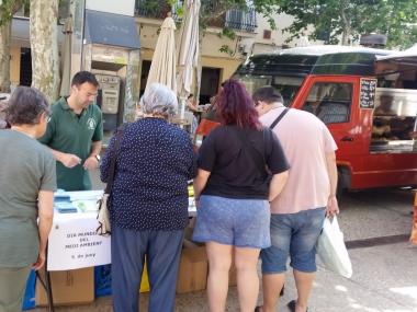 Dia Mundial Medi Ambient