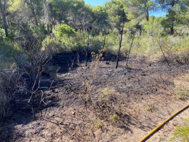Conat d'incendi al bosc de Cala Agulla
