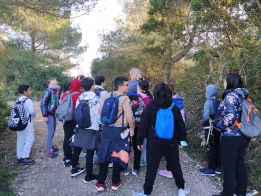 Activitat ambiental de l'alumnat del CEIP s'Auba i el CEIP s'Alzinar