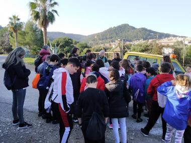 Activitat ambiental de l'alumnat del CEIP s'Auba i el CEIP s'Alzinar