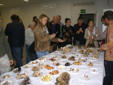 Jornades Micològiques amb Felip Esteva