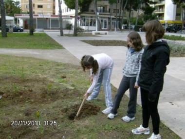 Els alumnes de 5è sembren arbres al jardí del Cap Vermell