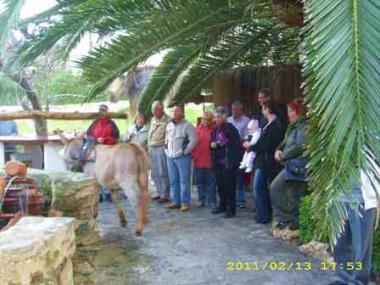Visita a la sínia de Font de sa Cala