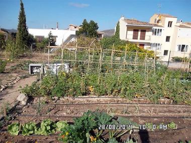 Els horts urbans de Capdepera ja han donat els seus primers fruits
