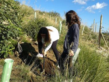 Plantació d’arbres amb l’Institut de Capdepera