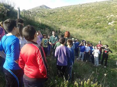 Plantació d’arbres amb els col·legis S’Auba i i S’Alzinar