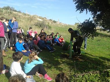 Plantació d’arbres amb els col·legis S’Auba i i S’Alzinar