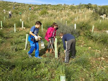 Plantació d’arbres amb els col·legis S’Auba i i S’Alzinar
