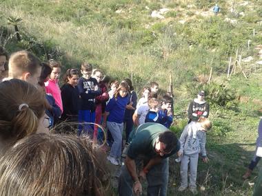 Plantació d’arbres amb els col·legis S’Auba i i S’Alzinar