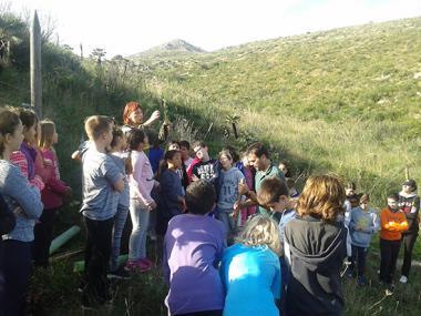 Plantació d’arbres amb els col·legis S’Auba i i S’Alzinar