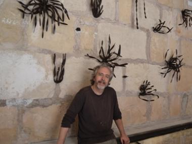 Plantes de ferro al Centre Melis Cursach