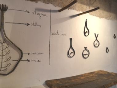 Plantes de ferro al Centre Melis Cursach