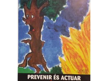 Ni 1 foc al bosc: BAN 