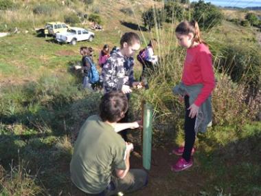 Els alumnes de l’IES Capdepera participen a una reforestació a Son Barbassa