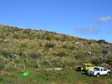 Els alumnes de l’IES Capdepera participen a una reforestació a Son Barbassa