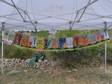 Capdepera participa en la jornada de reforestació comarcal per celebrar l’aniversari del concurs ‘Ni 1 foc al bosc’