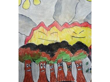 Es lliuren els premis del concurs Ni 1 foc al bosc