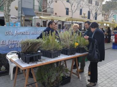 Medi Ambient regala plantes per celebrar el Dia Mundial Forestal