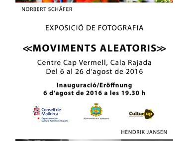 Exposició de Norbert Schäfer i Hendrik Jansen al Centre Cap Vermell