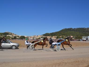 Carreres de cavalls