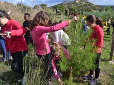 Els alumnes de l’IES Capdepera reforesten Son Barbassa per tercer any consecutiu