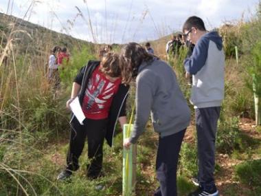 Els alumnes de l’IES Capdepera reforesten Son Barbassa per tercer any consecutiu