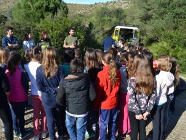Els alumnes de S’Auba i S’Alzinar reforesten Sa Duaia-Es Recó