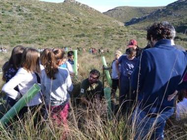 Els alumnes de S’Auba i S’Alzinar reforesten Sa Duaia-Es Recó