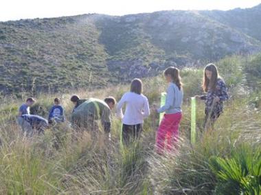 Els alumnes de S’Auba i S’Alzinar reforesten Sa Duaia-Es Recó
