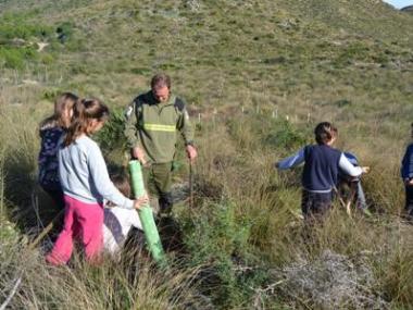 Els alumnes de S’Auba i S’Alzinar reforesten Sa Duaia-Es Recó