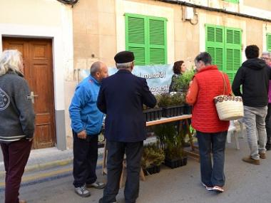 Medi Ambient regala plantes per commemorar el Dia Mundial Forestal