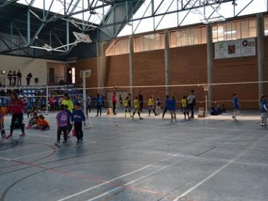 Senderisme, volei i judo en el segon cap de setmana del mes de l'esport gabellí
