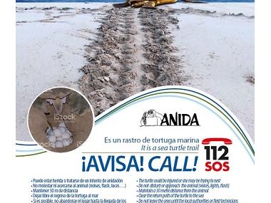 Projecte ANIDA de la Fundació Palma Aquarium 