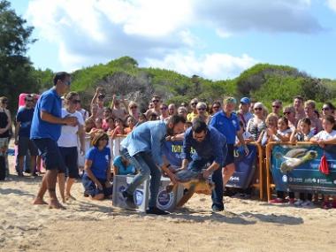 El Centre de Recuperació de Fauna Marina de Palma Aquarium amolla la tortuga Cannoli a cala Agulla