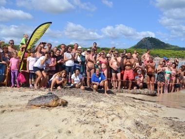 El Centre de Recuperació de Fauna Marina de Palma Aquarium amolla la tortuga Cannoli a cala Agulla