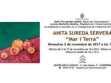 Exposició d'Anita Sureda al Centre Melis