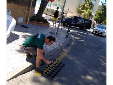 La presència del moscard tigre augmenta a Capdepera 