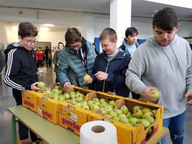 Capdepera Activa apropa la fruita al pati de l’escola