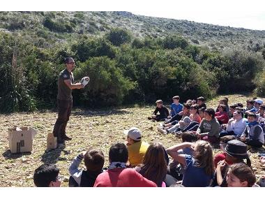Els alumnes de S’Auba i S’Alzinar participen d’una jornada forestal a Sa Duaia