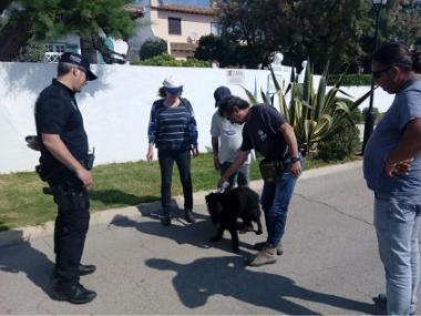 El departament de Medi Ambient vol fer complir la normativa sobre animals domèstics a la via pública