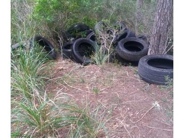 Medi Ambient denuncia un nou abocament il·legal de residus al bosc de cala Gat