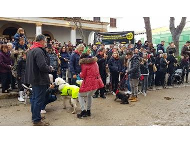 La pluja no atura les Beneïdes de Sant Antoni a Cala Rajada