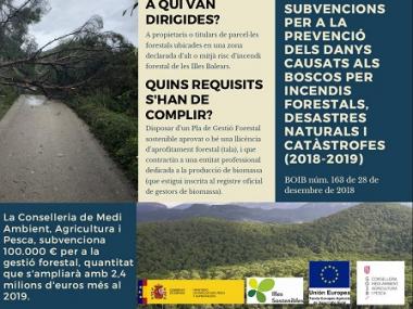 Subvenció per a la gestió forestal