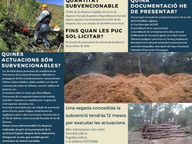 Subvenció per a la gestió forestal