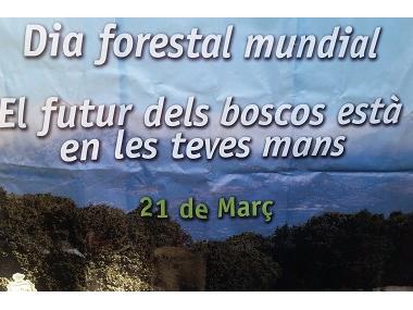 El departament de Medi Ambient regala plantes per commemorar el Dia mundial Forestal