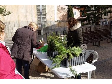 El departament de Medi Ambient regala plantes per commemorar el Dia mundial Forestal