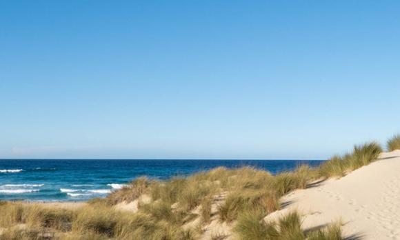 dunes