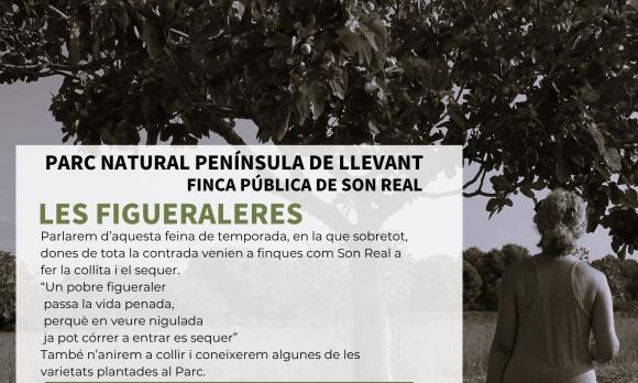 Cartell